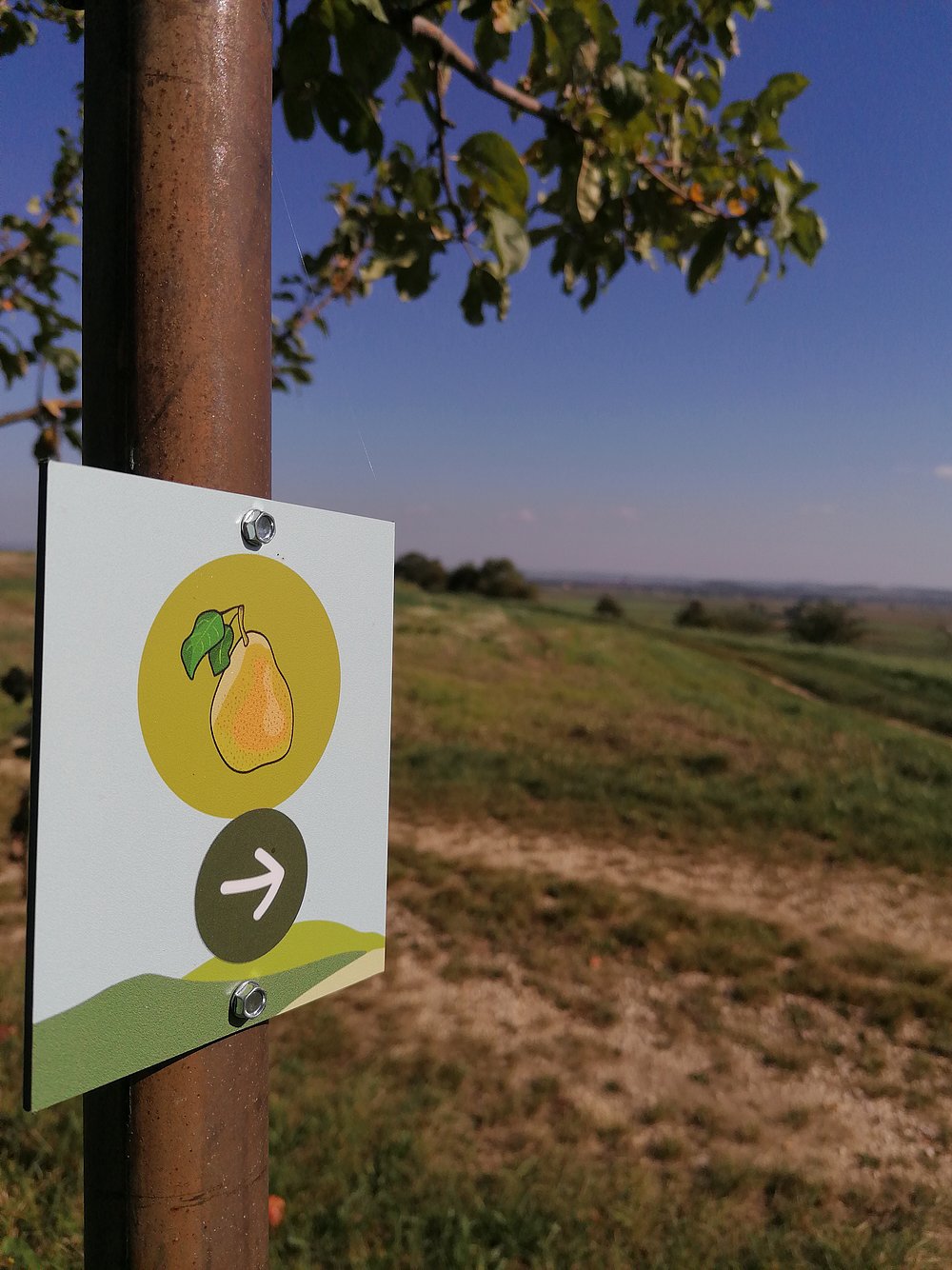 Wegweiser des Streuobstpfad Kirchheim am Ries Wegweiser des Streuobstpfad Kirchheim am Ries