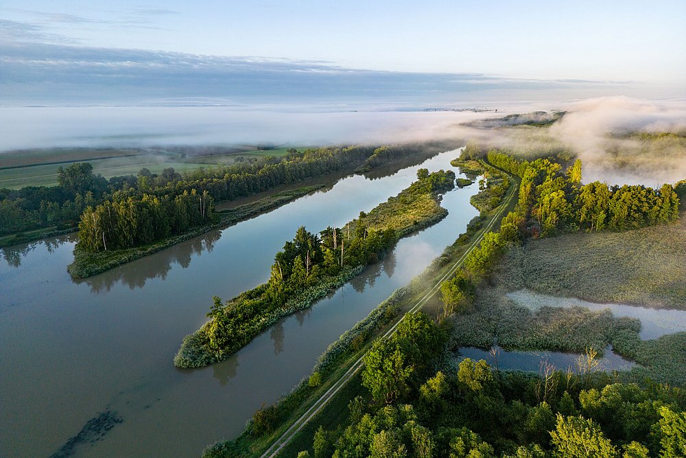 Luftbild von der Donau bei Blindheim am Donauwaldwanderweg Luftbild von der Donau bei Blindheim am Donauwaldwanderweg