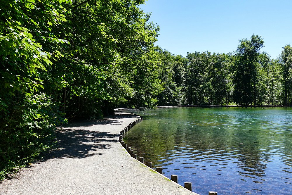Idyllischer Stempflesee im Stadtwald Idyllischer Stempflesee im Stadtwald