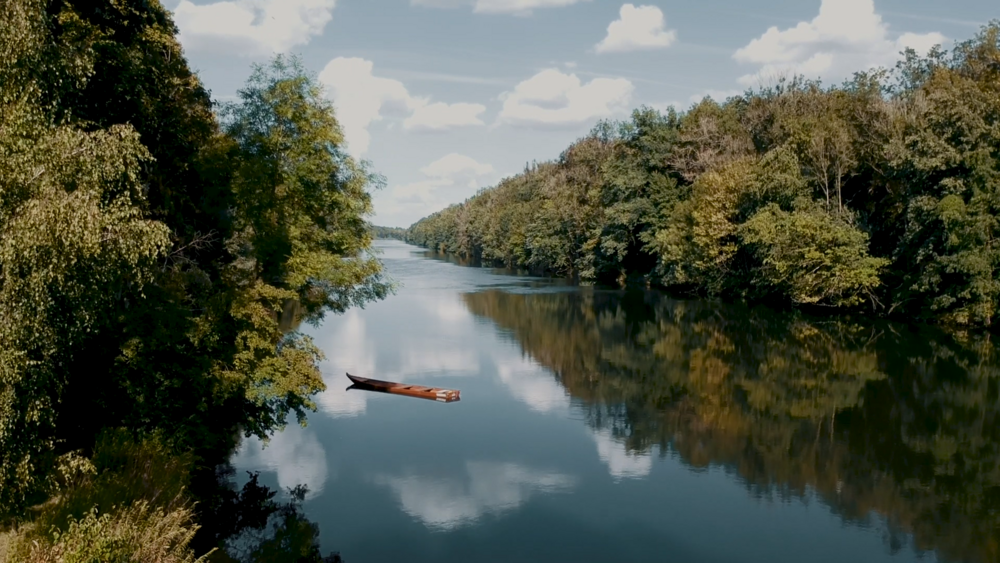 Der üppig gewachsene Auwald an der Donau mit einsamem Boot