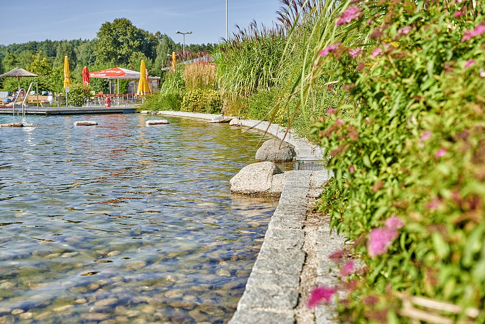 Begrüntes Ufer des Naturfreibads Fischach 