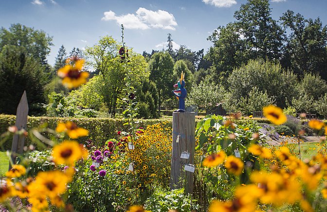 Sonnenblumen und Statue im Garten des Museum der Gartenkultur Illertissen