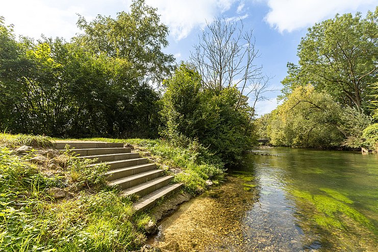 Ufer an der Brenz in Bächingen bei der Umweltstation mooseum 