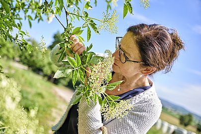 Siglinde Beck - Gesichter Bayerisch-Schwaben