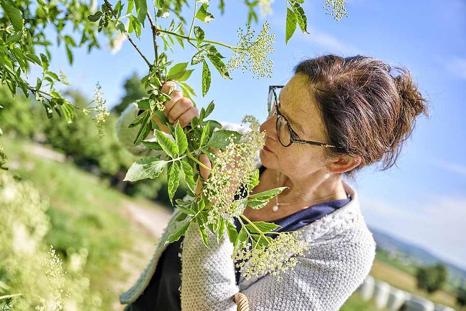 Siglinde Beck - Gesichter Bayerisch-Schwaben