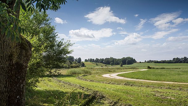 Landschaft in Bayerisch-Schwaben zum Spazierwandern