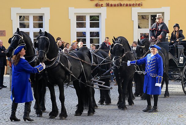 Leonhardiritt Weißenhorn, Schwarze Pferde vor Kutsche Leonhardiritt Weißenhorn, Schwarze Pferde vor Kutsche