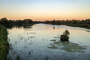 Die Donau bei Dämmerung bei Gremheim Die Donau bei Dämmerung bei Gremheim