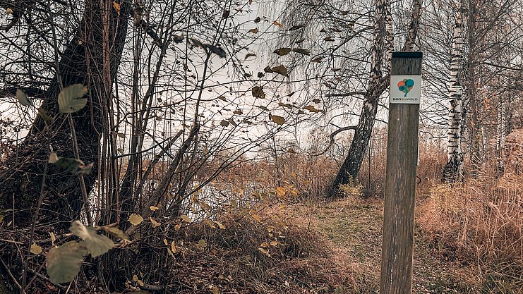 Wegweise im Doauwald im Herbst
