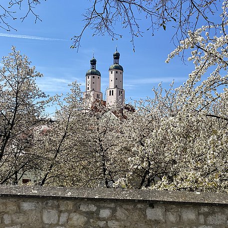 Blick auf die von Blüten umrahmten Zwillingstürem von der Stadtmauer in Wemding aus im Frühling 