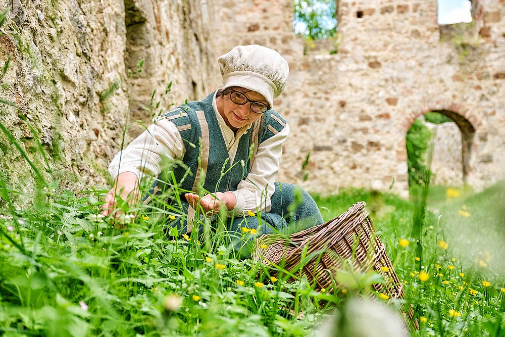 Siglinde Beck im Ries beim Kräutersammeln in der Burgruine Niederhaus Siglinde Beck im Ries beim Kräutersammeln in der Burgruine Niederhaus