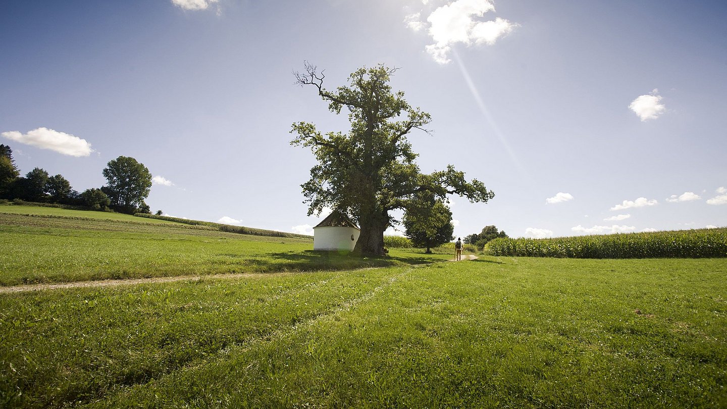 Pilgerwege in Bayerisch-Schwaben - Jakobsweg
