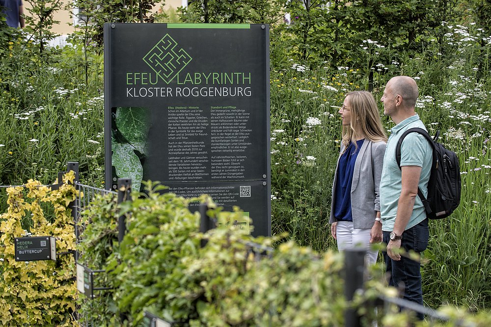 Päarchen sieht sich Schild im Efeulabyrinth im Klostergarten in Roggenburg an