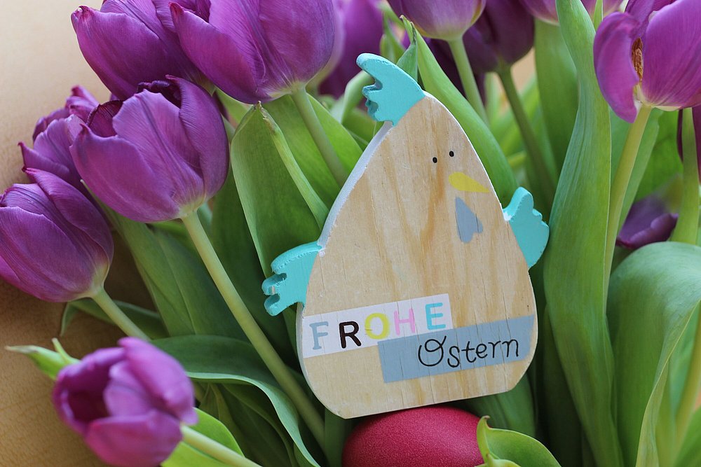 Schöne Tulpen und Ostergruß in Bayerisch-Schwaben