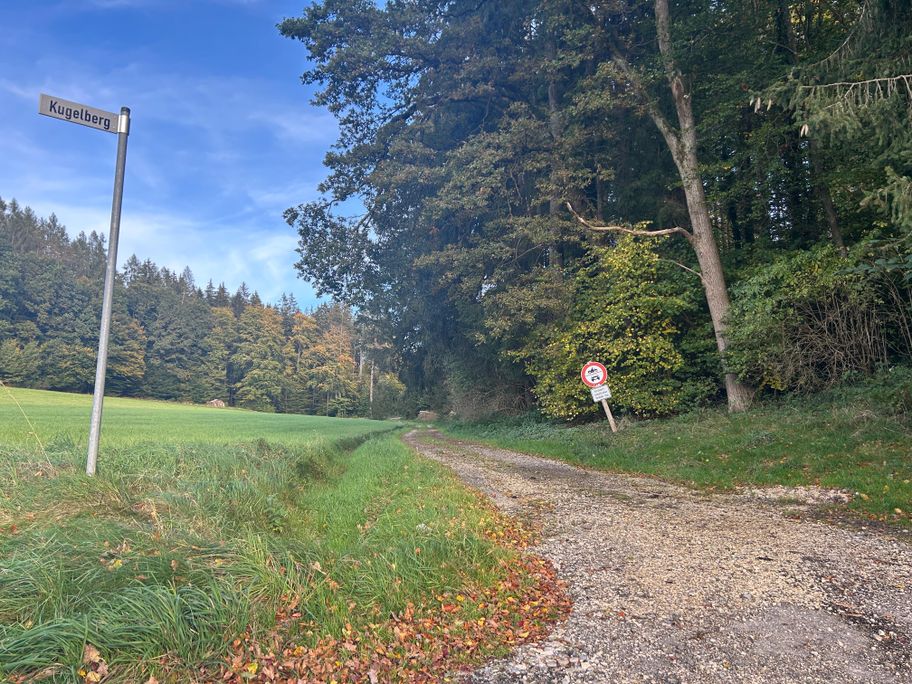 Eingang zum Waldweg Richtung Ursberg