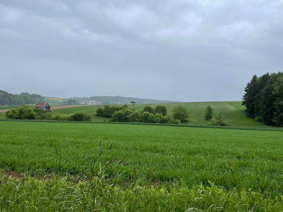 Streifzüge Panoramaweg Mangengraben