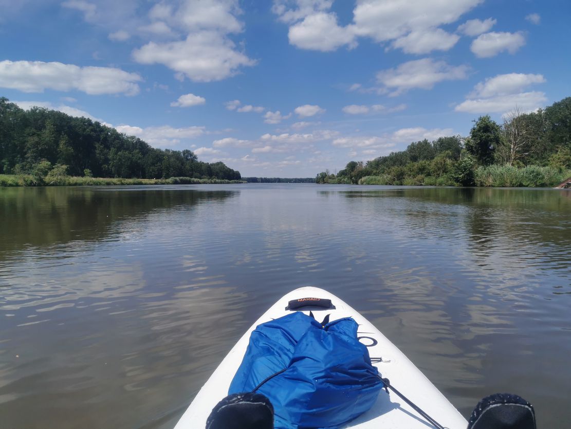 Bootswanderung auf der Donau.