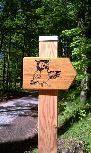 Walderlebnispfad Am Horn