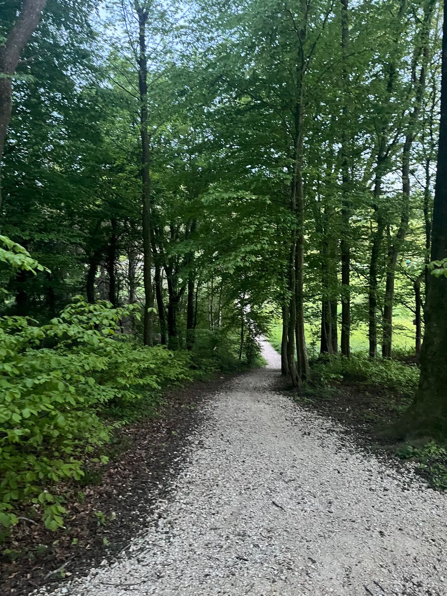 Weihergraben Überquerung