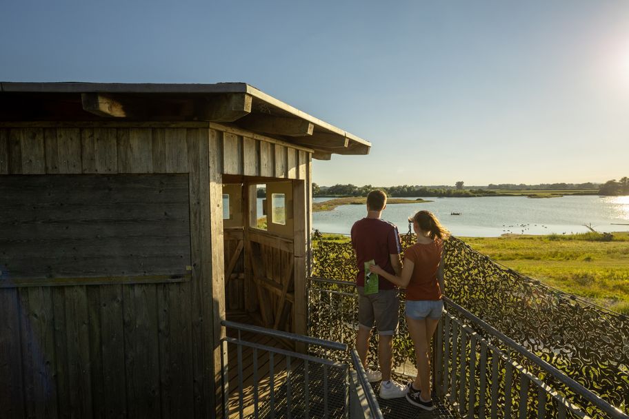 Neu-Ulm_Plessenteich©Heiko-Grandel (17).jpg