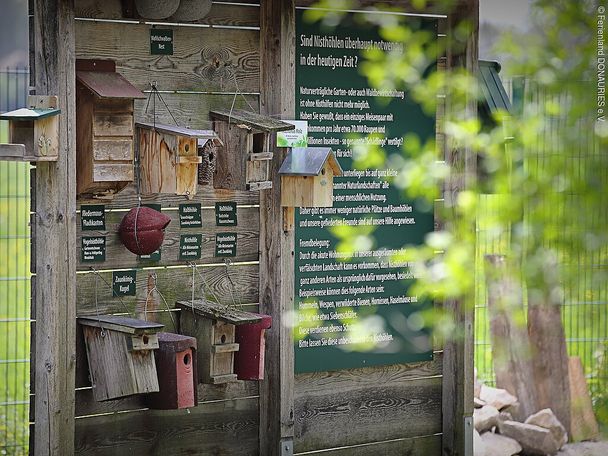 14222345_naturlehrgarten2.jpg