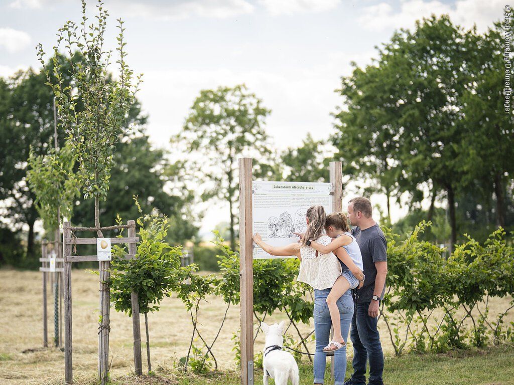 Öffentliche Führung durch den Obstlehrgarten "Schäbles Kleinod"