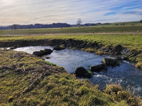 Fischtreppe an der Günz.jpg