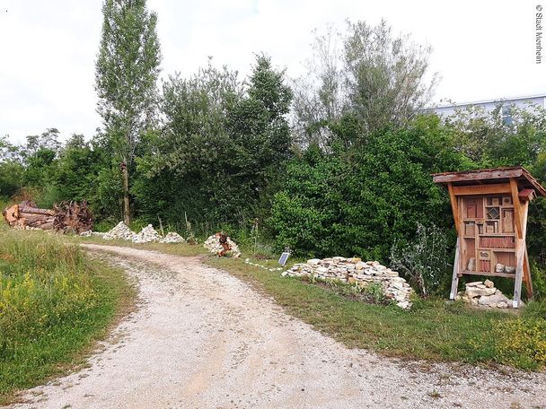 13052505_lehrbienenstand-mit-bienenweide-monheim-gartenstrukturen.jpg