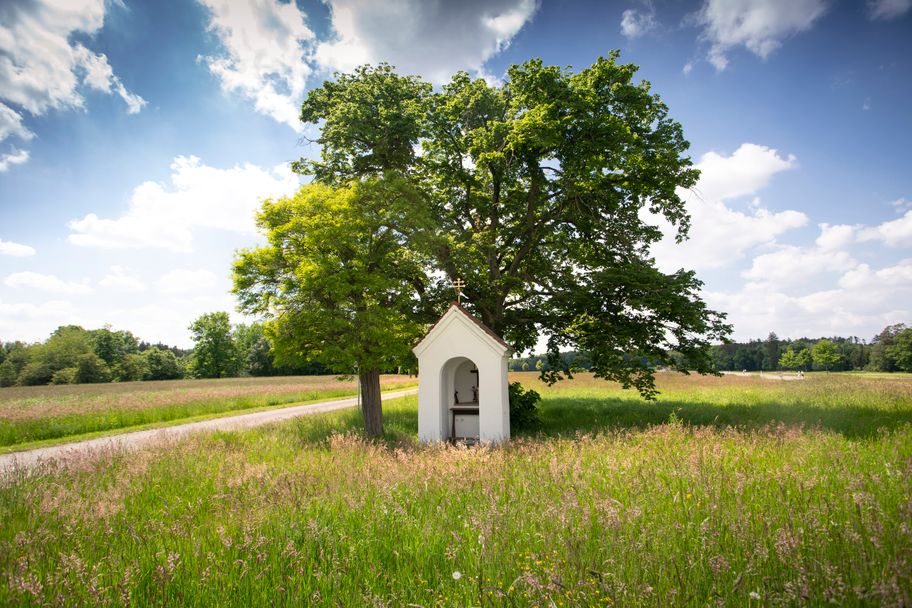 Streifzüge Schallerweiherweg