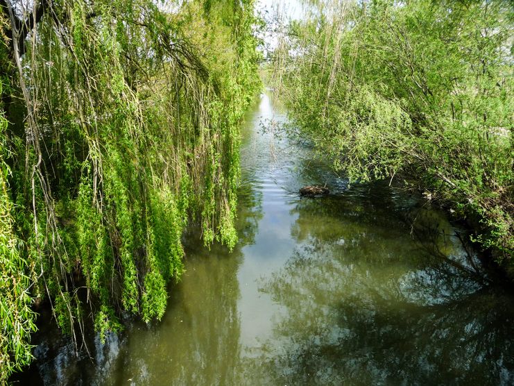 Fluss: Kammel