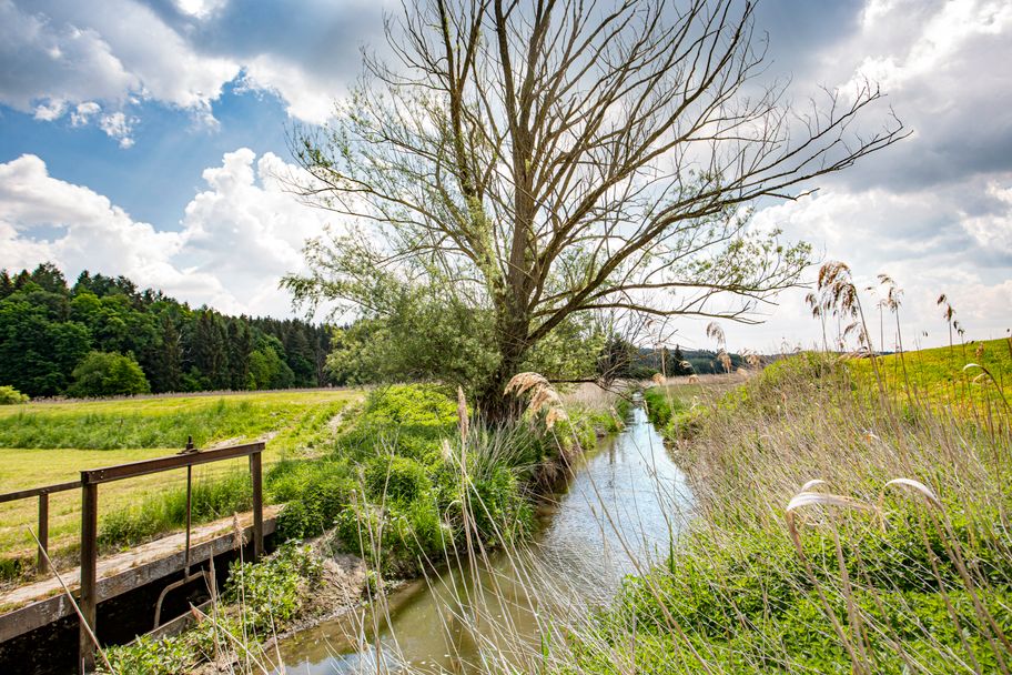 Streifzüge Panoramweg