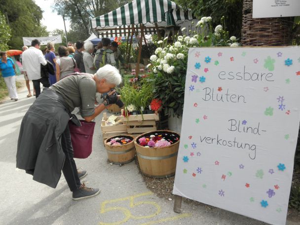 Gras & Krempel: Gartenflohmarkt