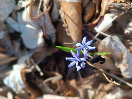 Donautal-Aktiv e.V. - A.W.