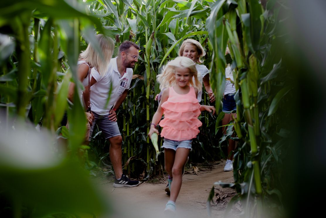 Maislabyrinth Radersdorf