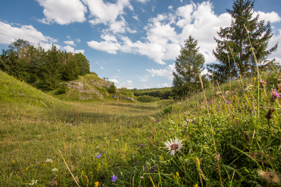 Naherholungsgebiet Pfannental