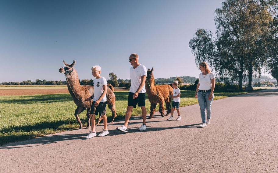 Familie bei einer Lamawanderung in Buch