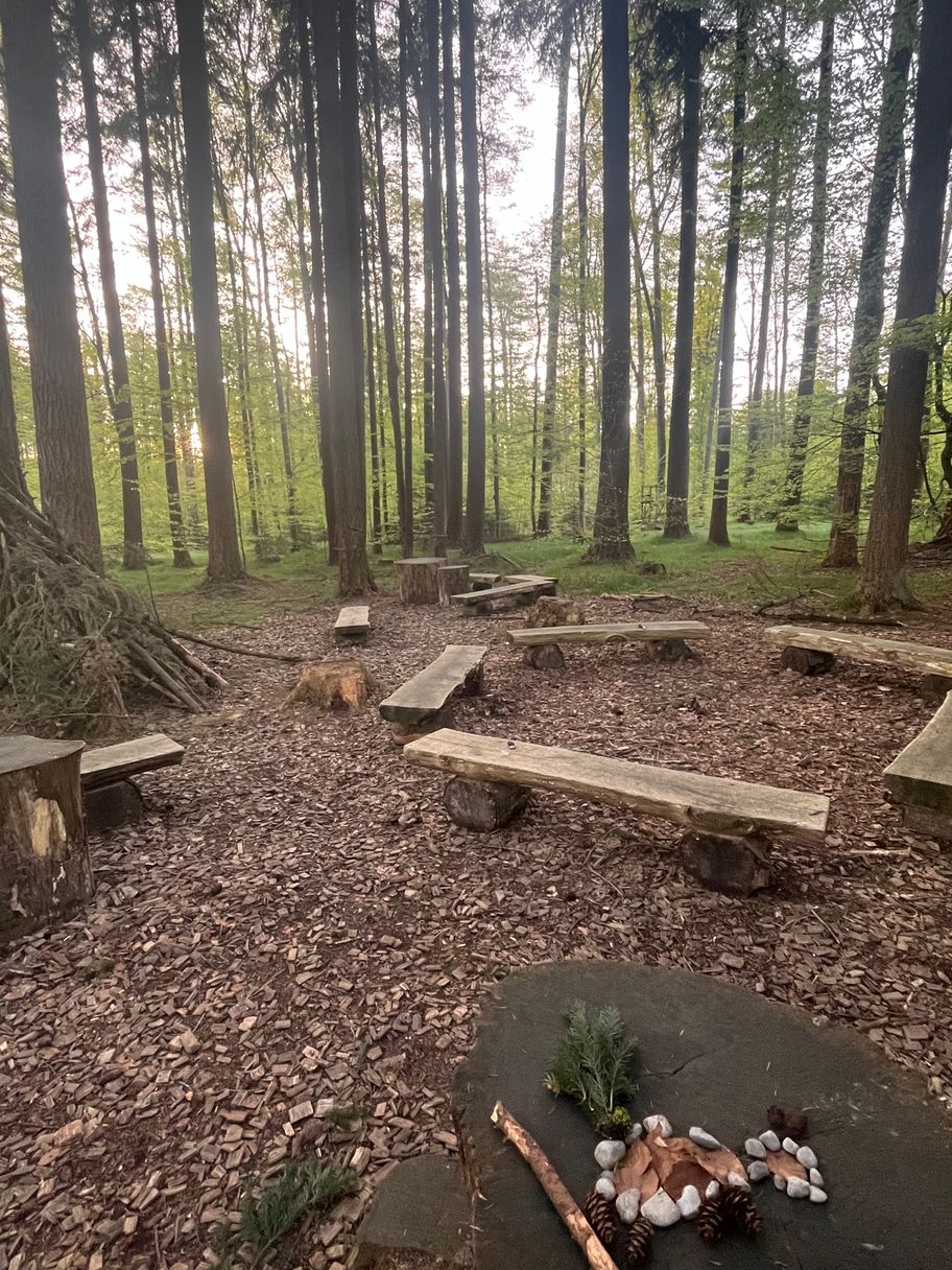 Grünes Klassenzimmer