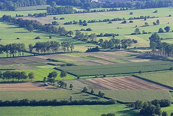 Umweltlehrpfad "Riedweg"