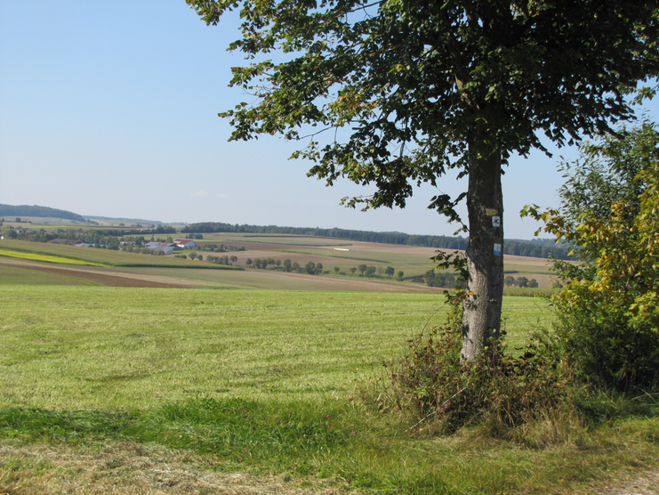Blick auf Zoltingen