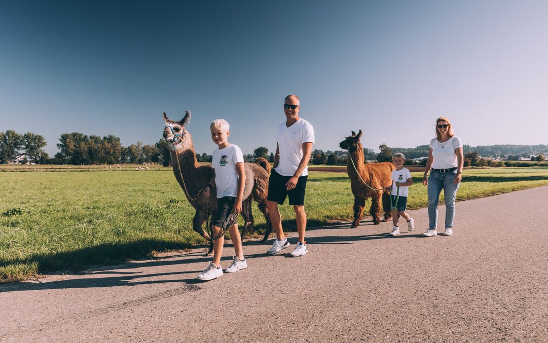 Lamawanderung in Buch