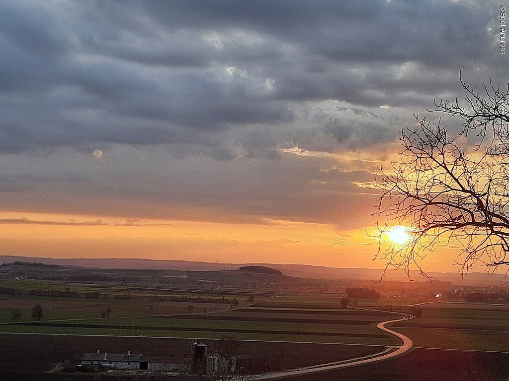 Führung rund um den Lehmberg (Woche d. europäischen Geoparks)