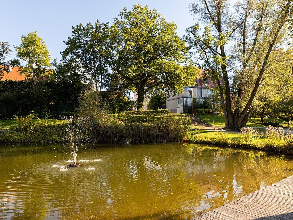 18211803_schlossweiher-stadt-rain-2cmarcokleebauer.jpg