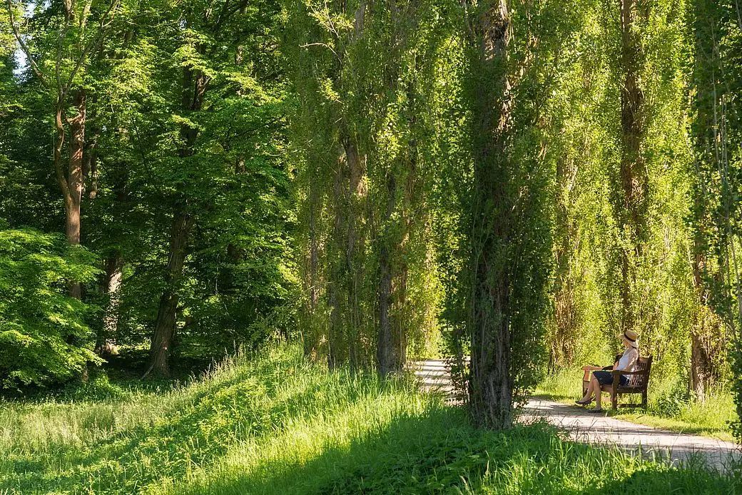 Bad Mergentheim Romantische Strasse
