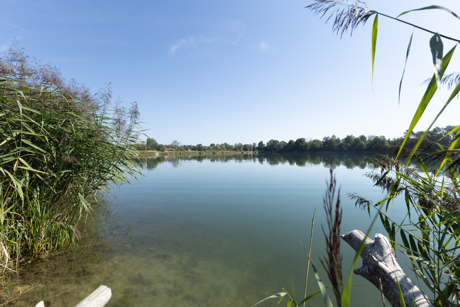 Wagerseen bei Weisingen