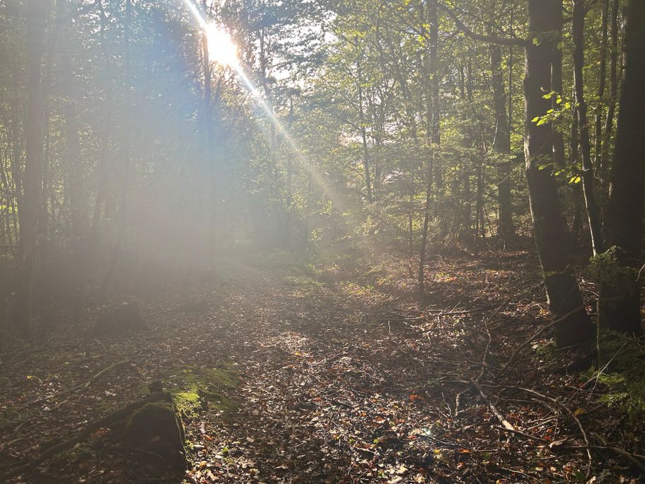 Rückweg nach Edenhausen