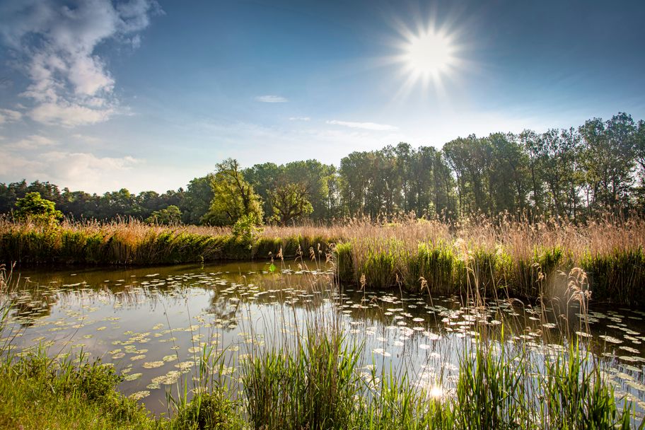 Streifzüge Günzstaussee Waldstetten Ellzee