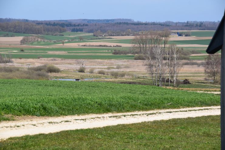Wanderung im Naturschutzgebiet Dattenhauser Ried