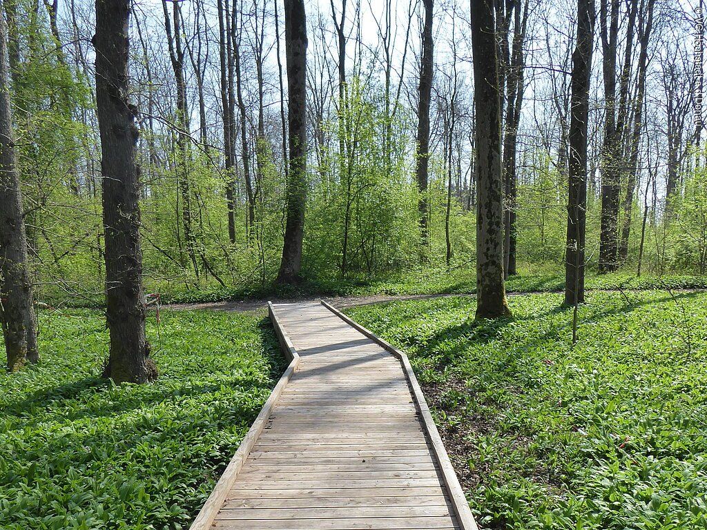 Herzogin Anna Rundweg