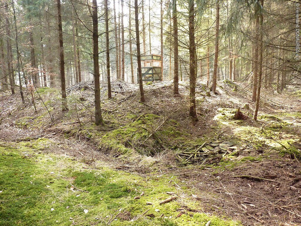 Keltische Viereckschanze