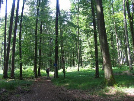 Mariensteig-Tour zwischen Kellmünz und Altenstadt